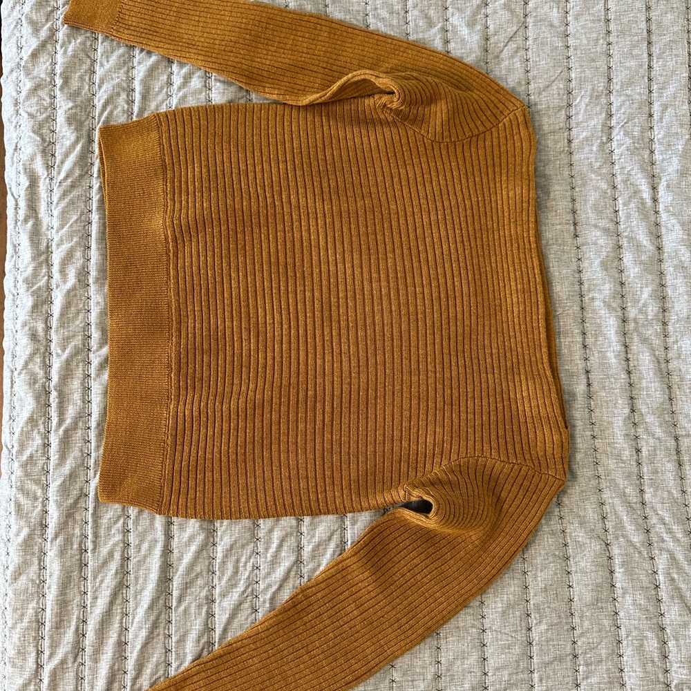 Cozy  Ribbed Sweater from Aritzia